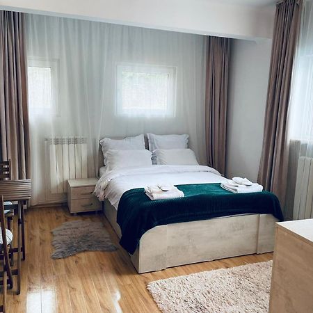 Studio Poema Ultracentral Sinaia Dış mekan fotoğraf